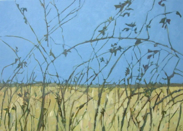 Brampton hedgerow