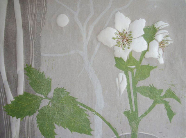 Hellebore at my window