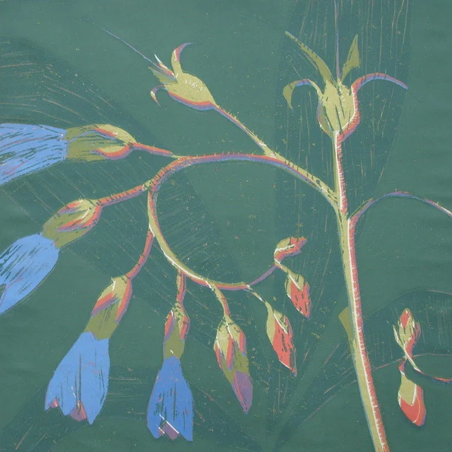 Comfrey