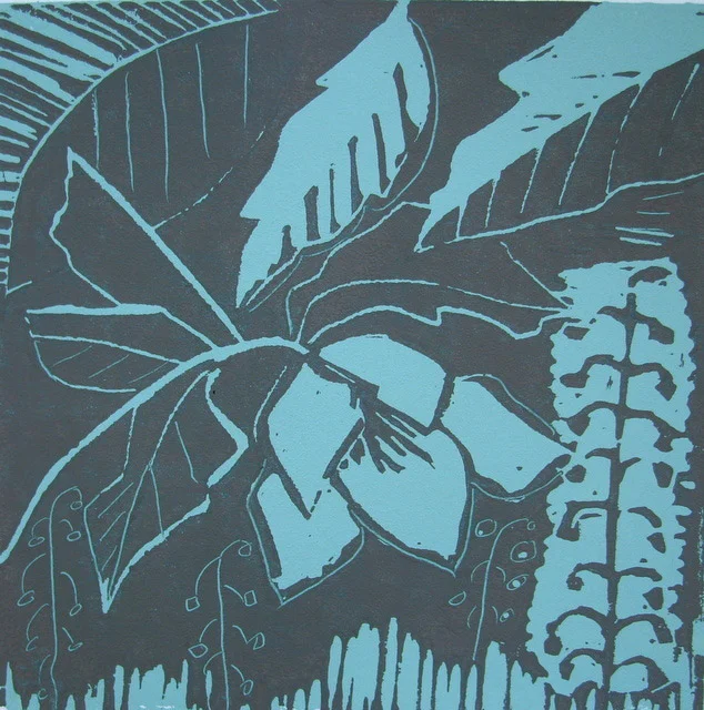 Hellebore 1