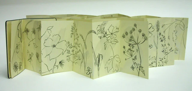 Summer meadow sketchbook