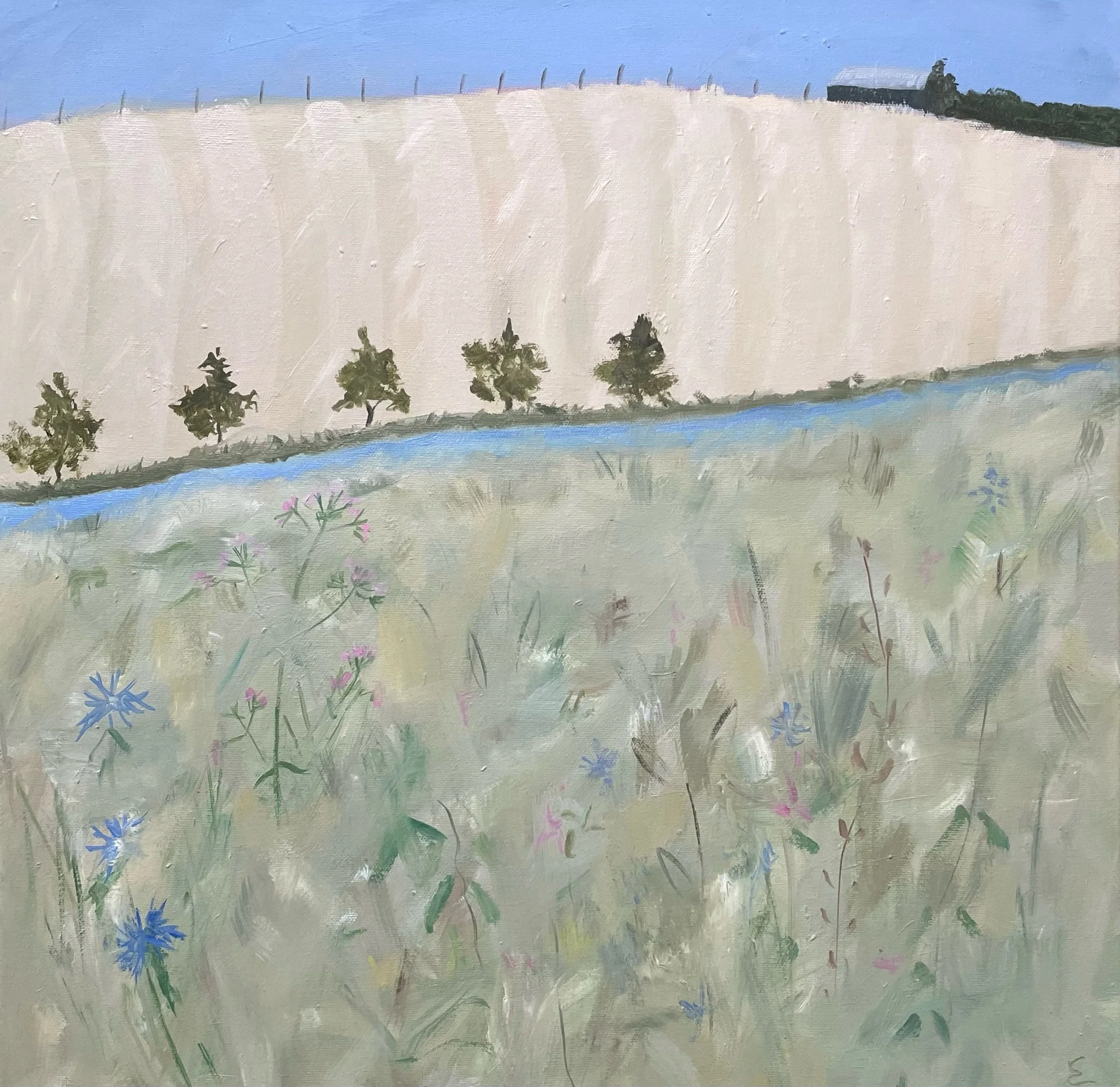 I like to walk on the wild side of the ditch