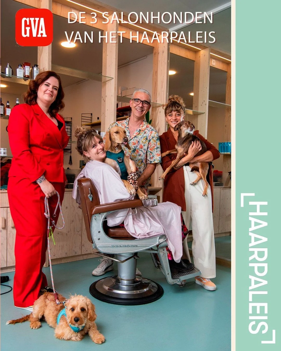 📰🐾 Deze week verscheen Haarpaleis in de Gazet Van Antwerpen en we zijn trots als een&hellip; salonhond! 😉

In het artikel vertellen we hoe onze drie viervoeters &mdash; Cooper, Lucil en Lucy &mdash; stilaan hun plekje in ons team veroverden. Ze ch