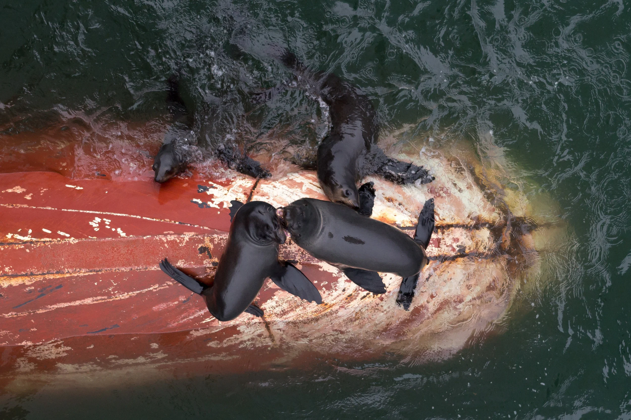 Seals by Second Officer Fedorov