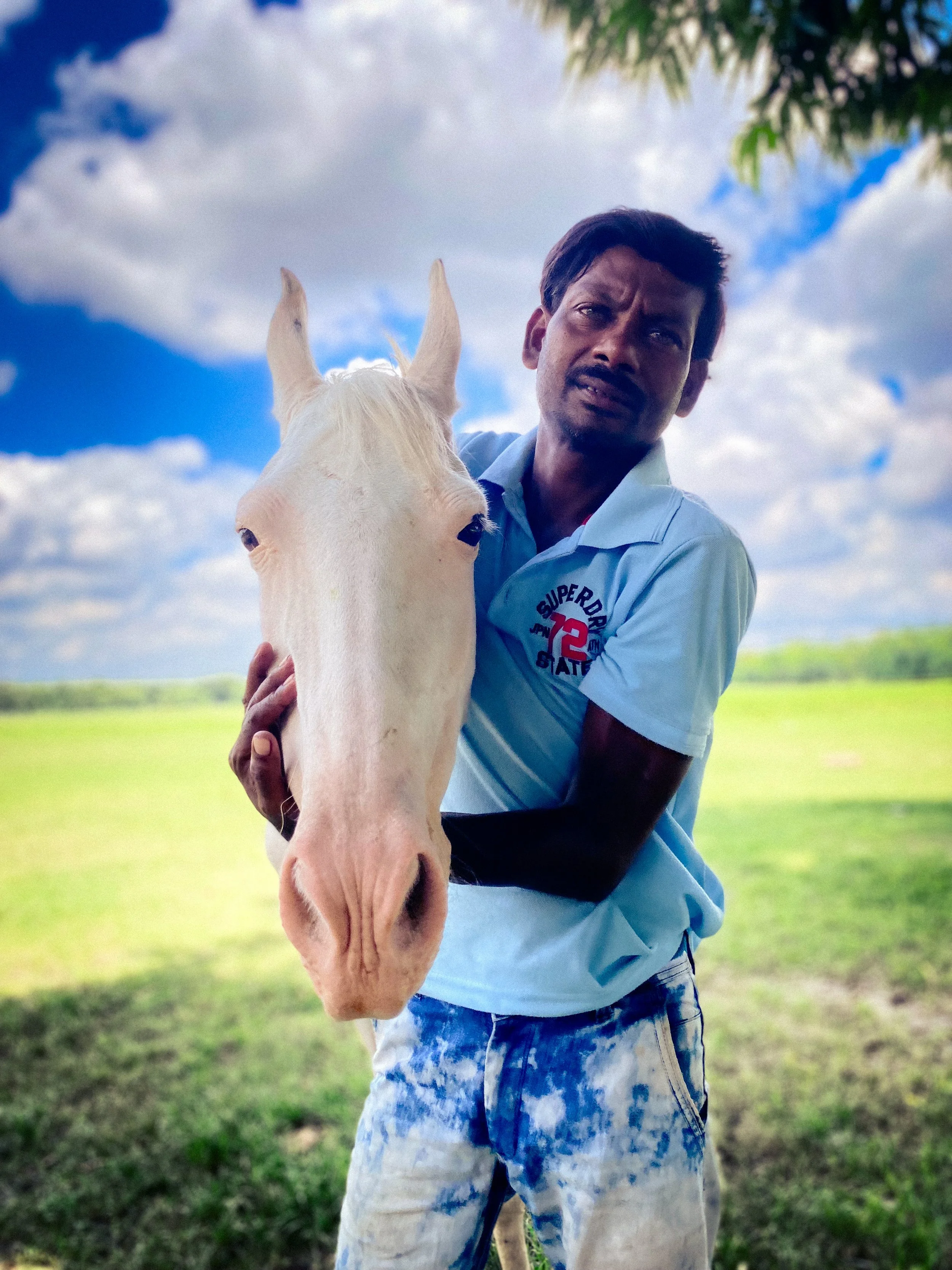 horse 1.jpg