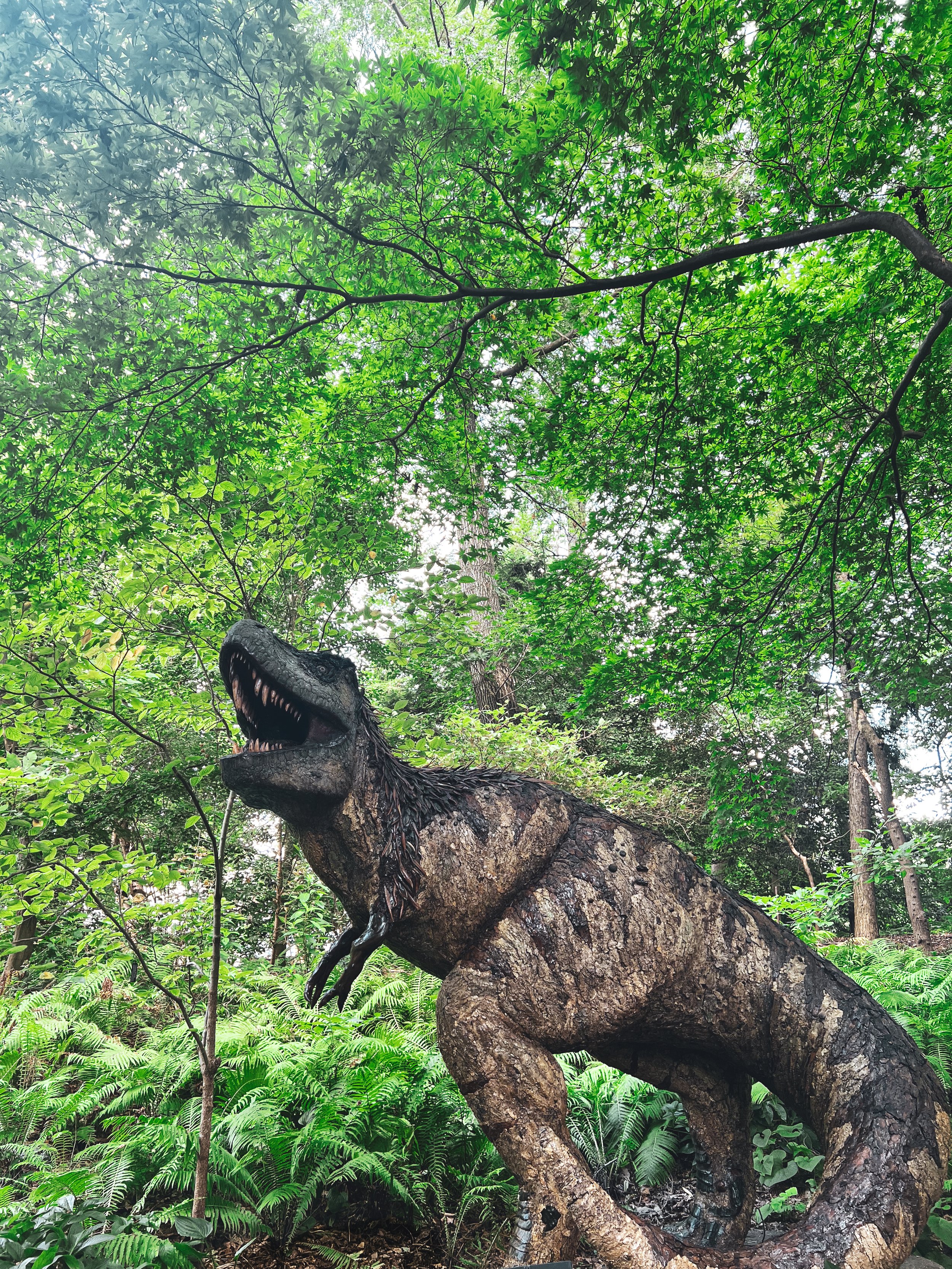 dino 1.jpg