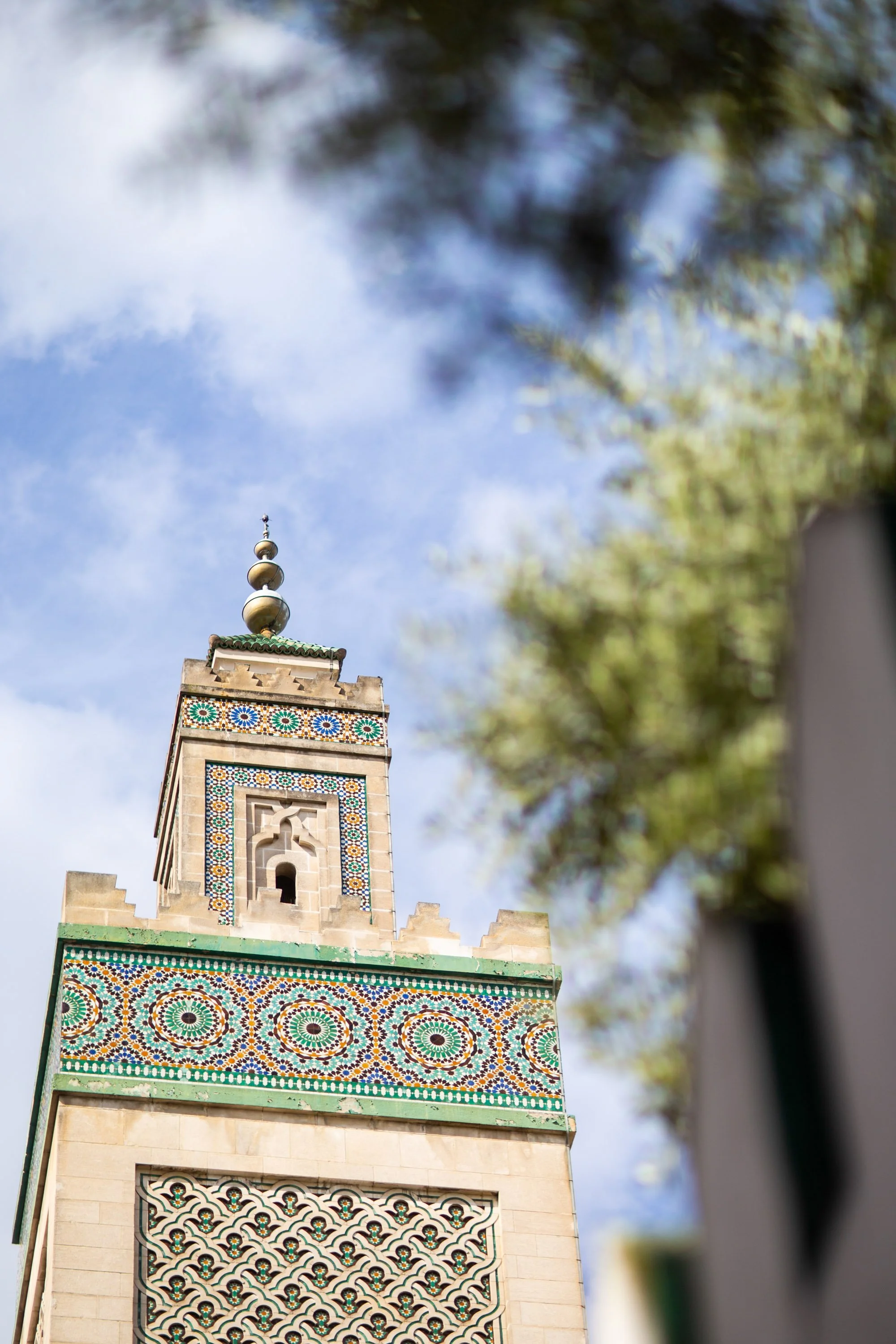 _MG_9741.jpg