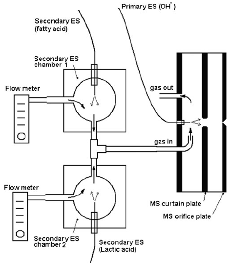 Secondary electrospray ionization of complex vapor mixtures - theoretical and experimental approach.png