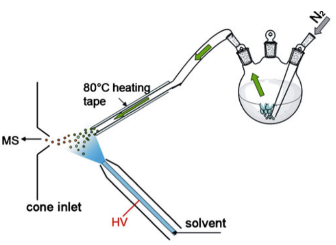 Simultaneous sampling of volatile and non-volatile analytes in beer for fast fingerprinting by extractive electrospray ionization mass spectrometry.png