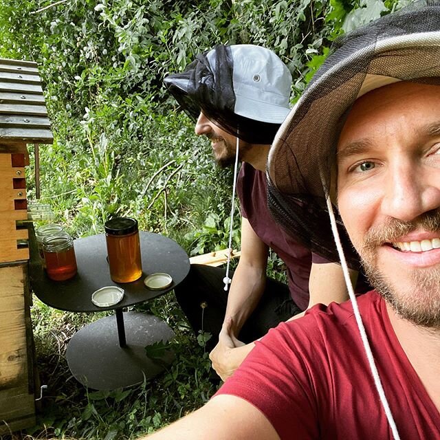 We have our first honey from the tap! 😆 Last year a friend and myself started cultivating honeybees with @flowhive . The Austrian beekepers we talked to didn&rsquo;t think it would work in our climate but one helped us to try out anyways. And now fi