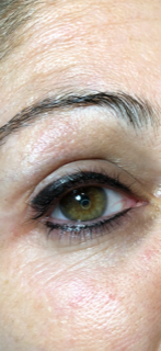 top and bottom liner.PNG