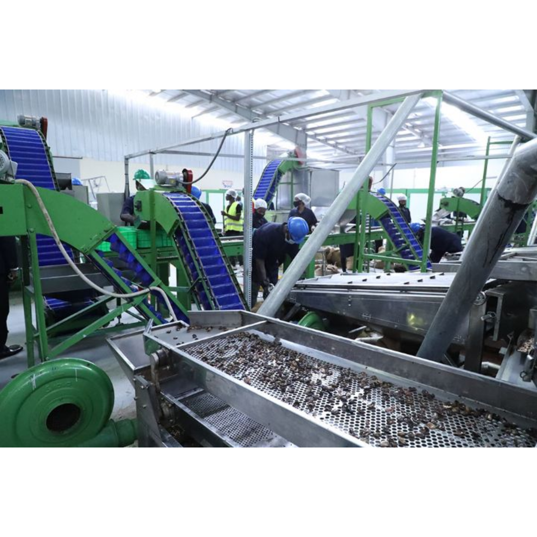 Usine d'hévéa SAPH, Bettié, Côte d'Ivoire