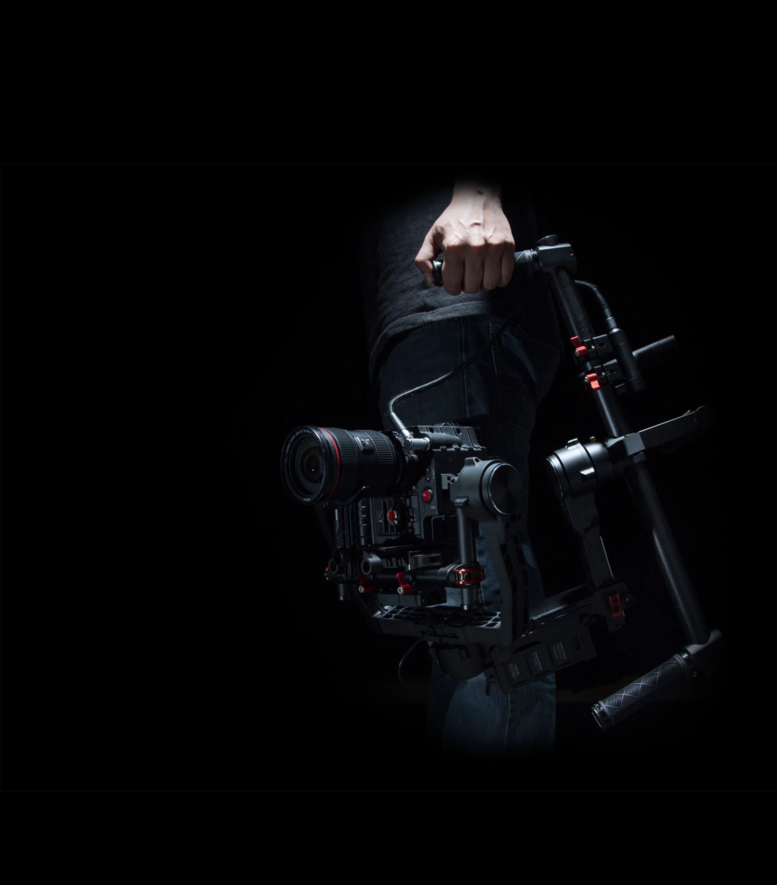 Ronin.jpg
