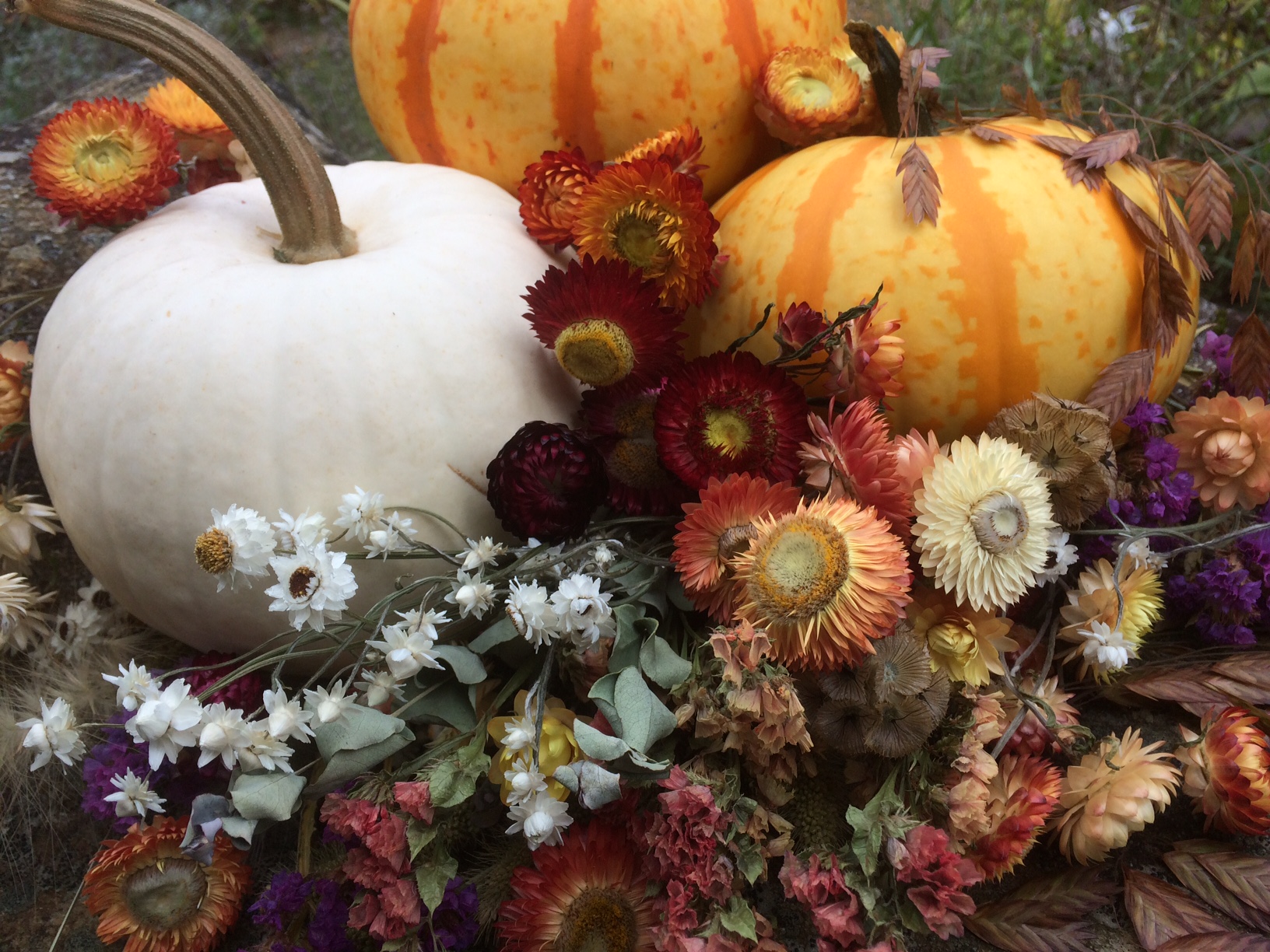 Autumn Centerpieces Workshop- November 15th