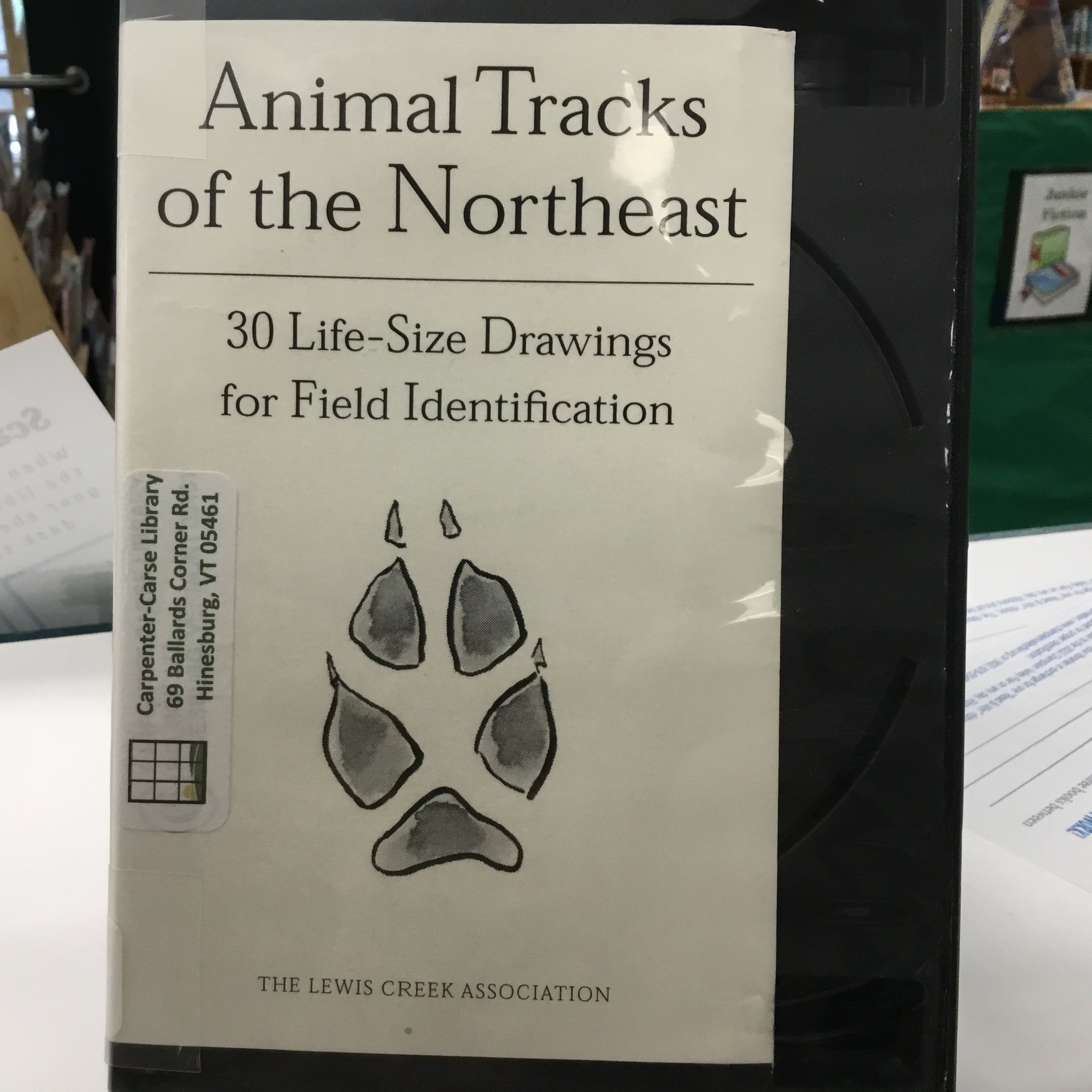 Animal Track Identification Kit