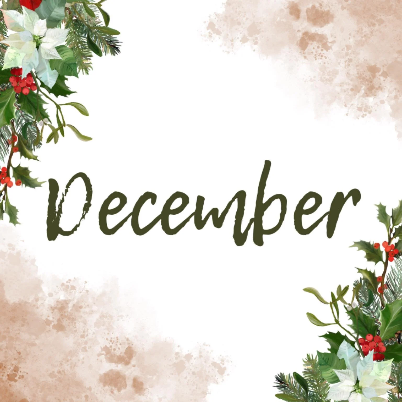 Our December news is ready for you!  Find it at the link in our profile.