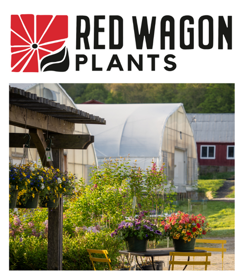Planning the Edible Garden with Julie Rubaud of Red Wagon Plants