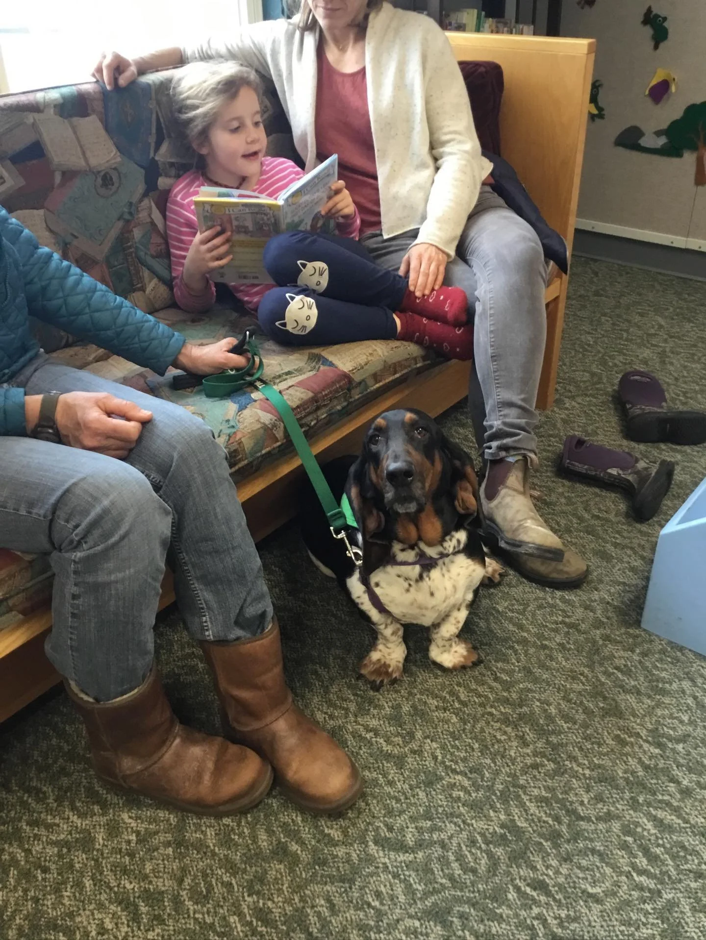 If you would like to practice your reading skills with Ivy the Basset Hound on a Tuesday afternoon, check the CCL website to find a time that will work for you. Ivy is here and ready to listen every other Tuesday afternoon at 3:00 - 4:00 pm.