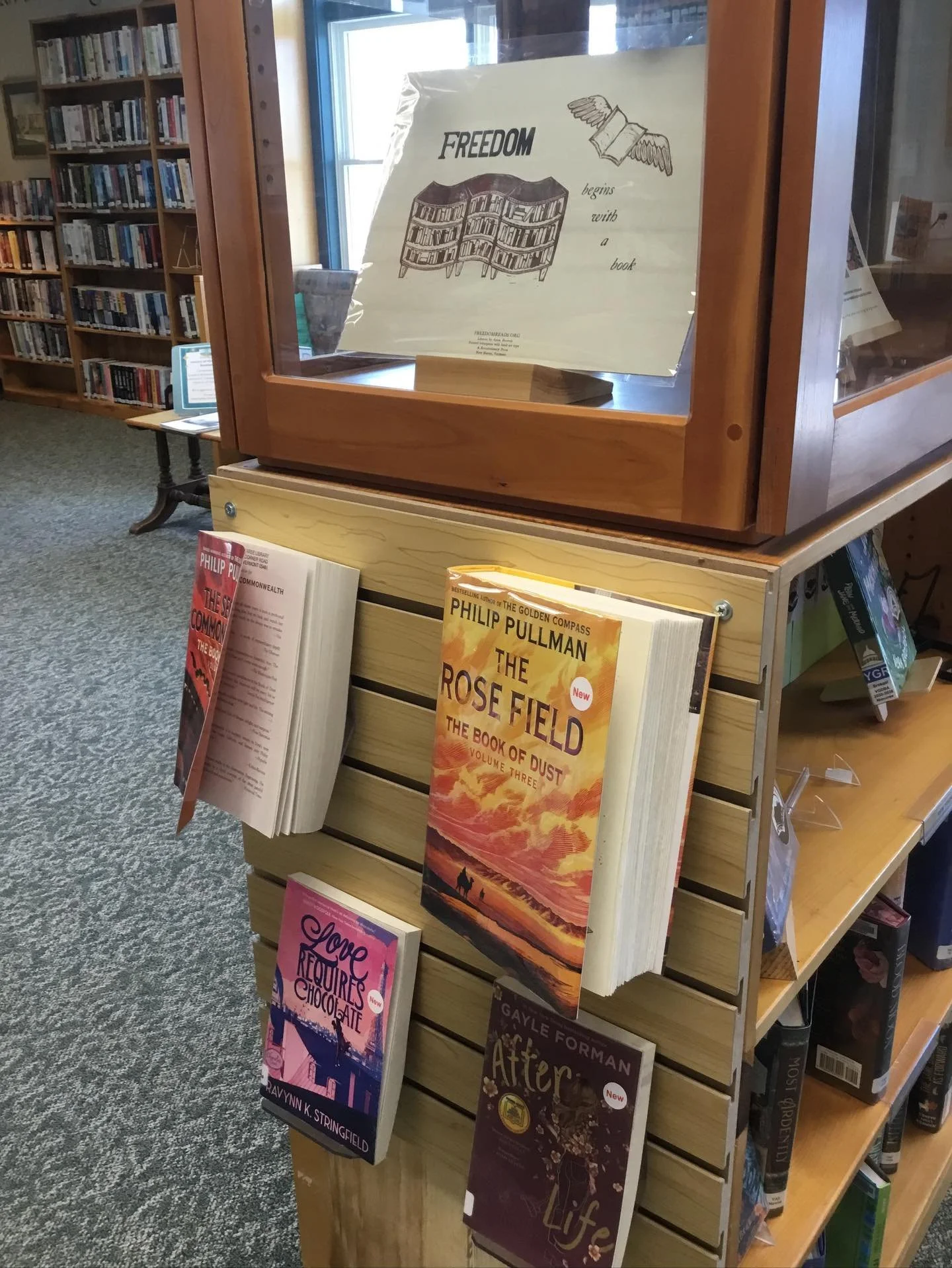 Thanks to a generous donation from a patron and the hard work of our volunteer, David, we now have new book displays in our youth areas.  We love how much these enhance the look of the library as well as give us much-needed space to showcase interest