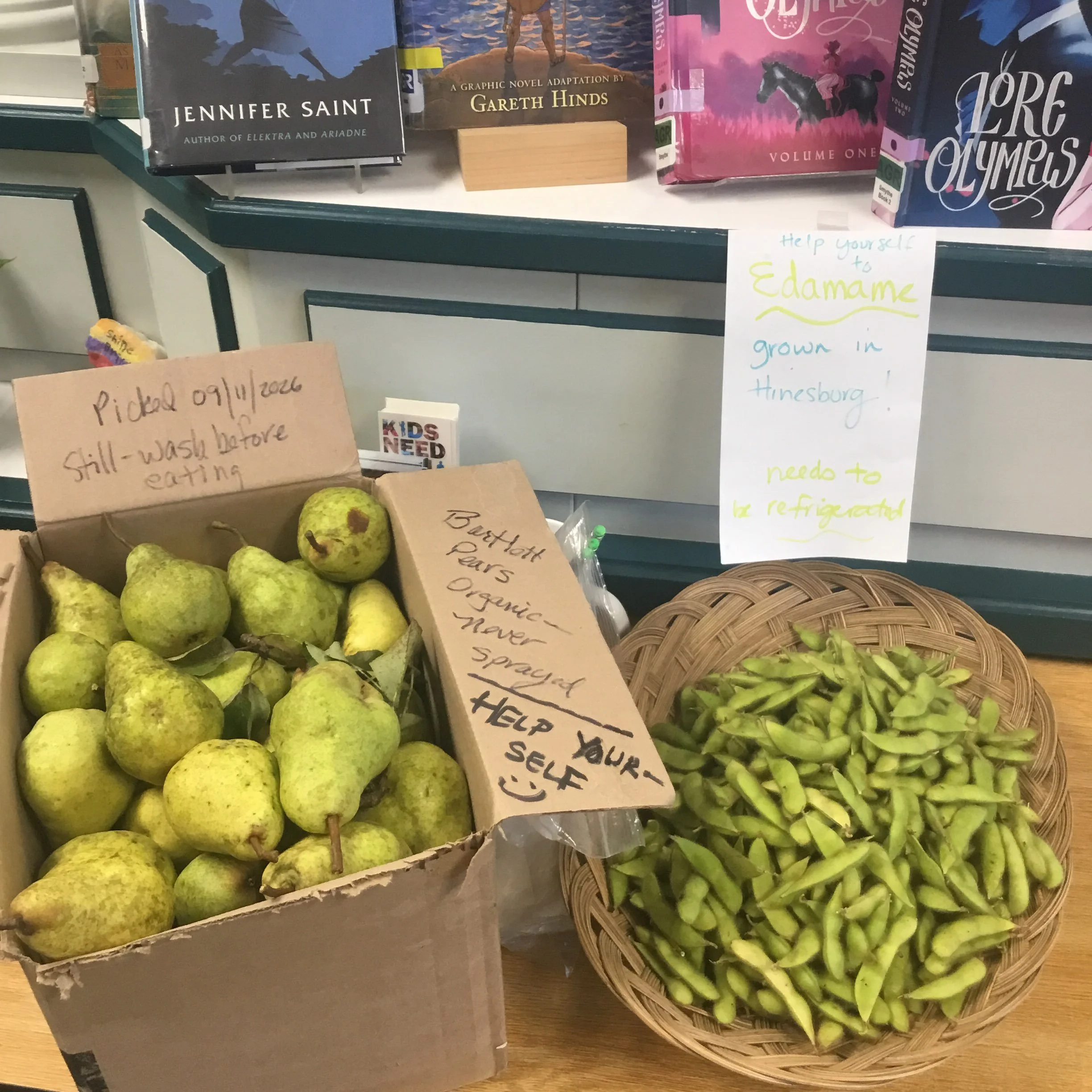 A couple patrons had abundant harvests today, so they brought their produce to the library to share.  When you visit, please help yourself to some edamame and pears, all grown here in Hinesburg!