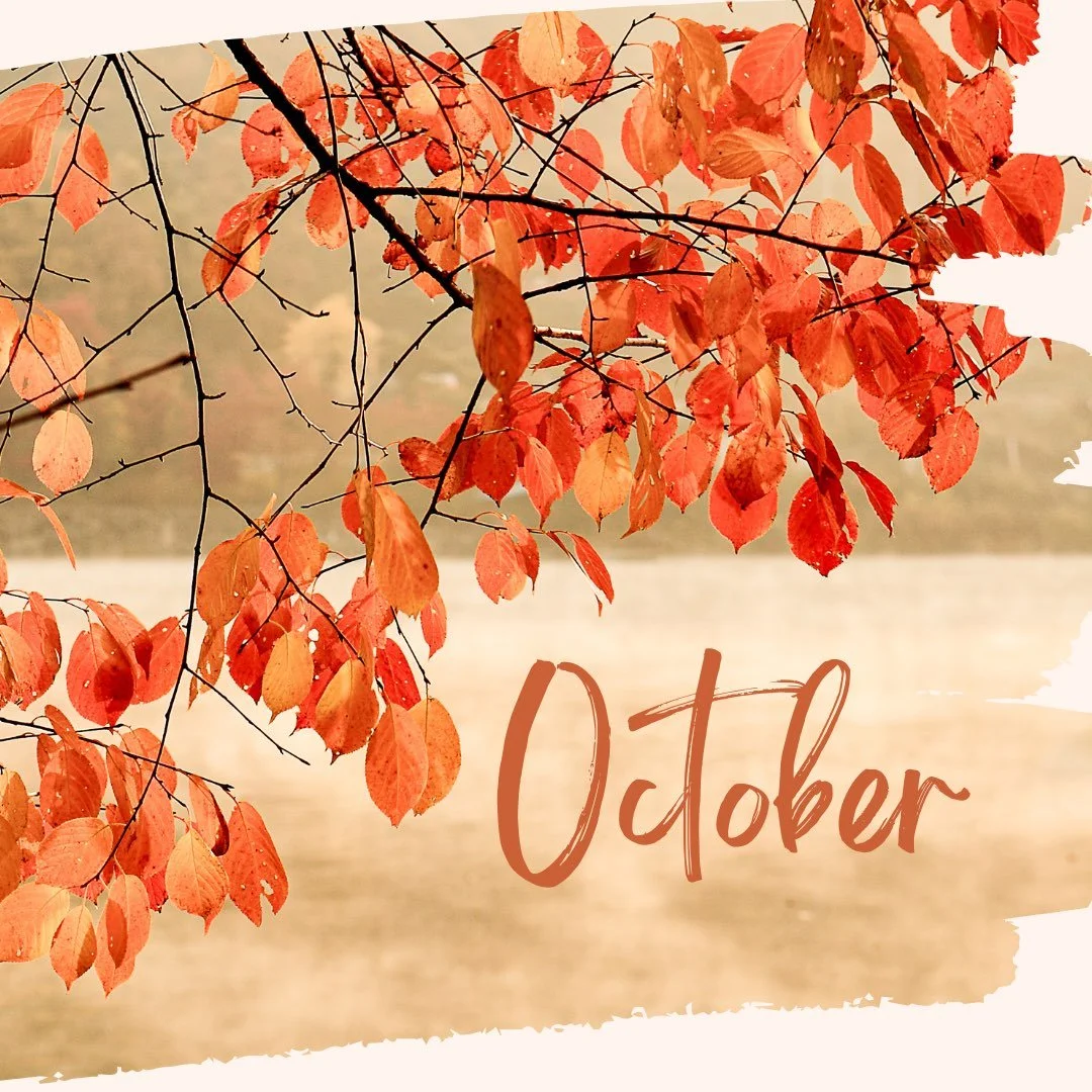 Our October newsletter is ready for you at the link in our profile!