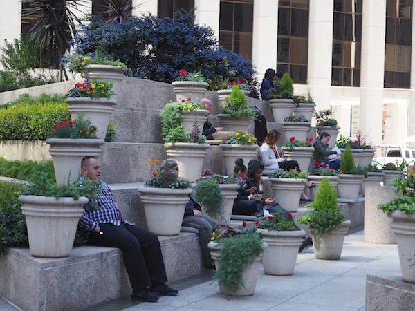 Lunch break in San Francisco's financial district