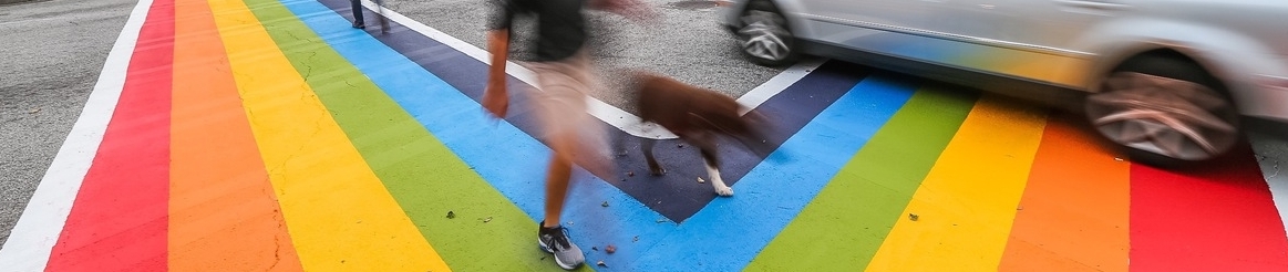 Rainbow Crosswalks.jpg