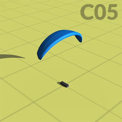 C05.jpg