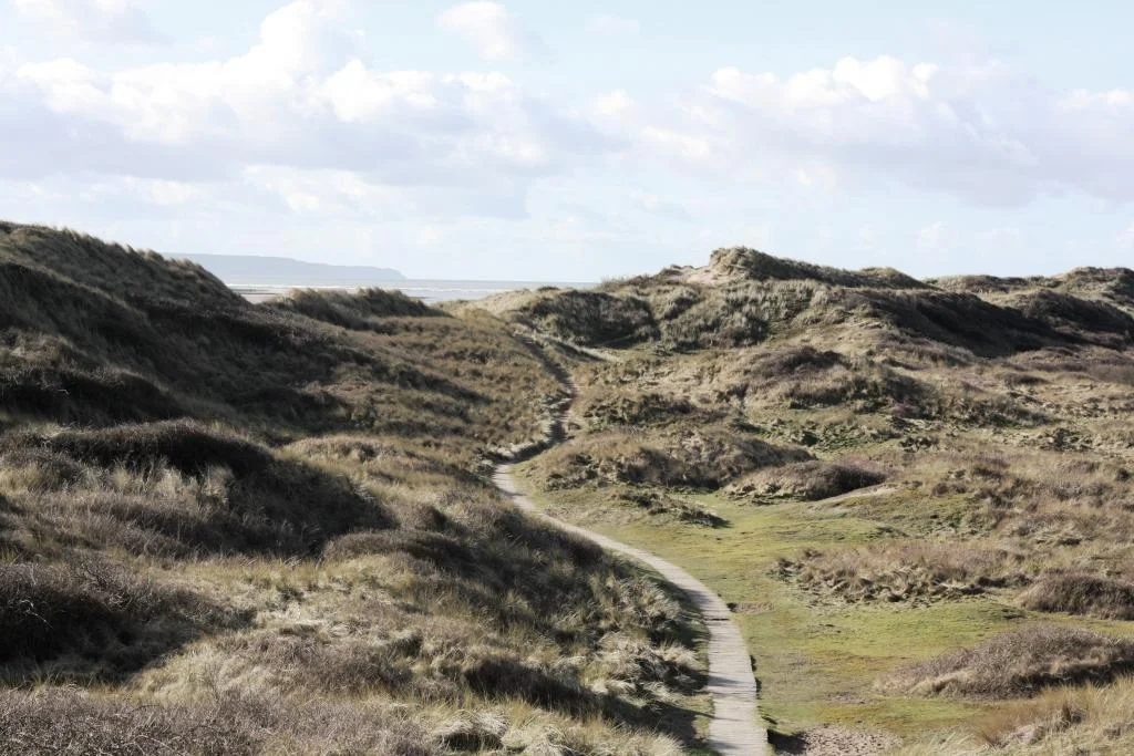 Crow Point - Boardwalk Pathway to Beach.jpg