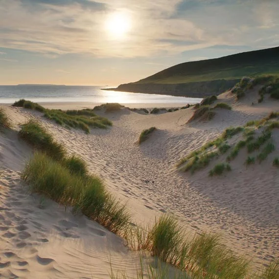 Crow Point - Dunes 1.jpg