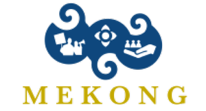 Mekong NYC