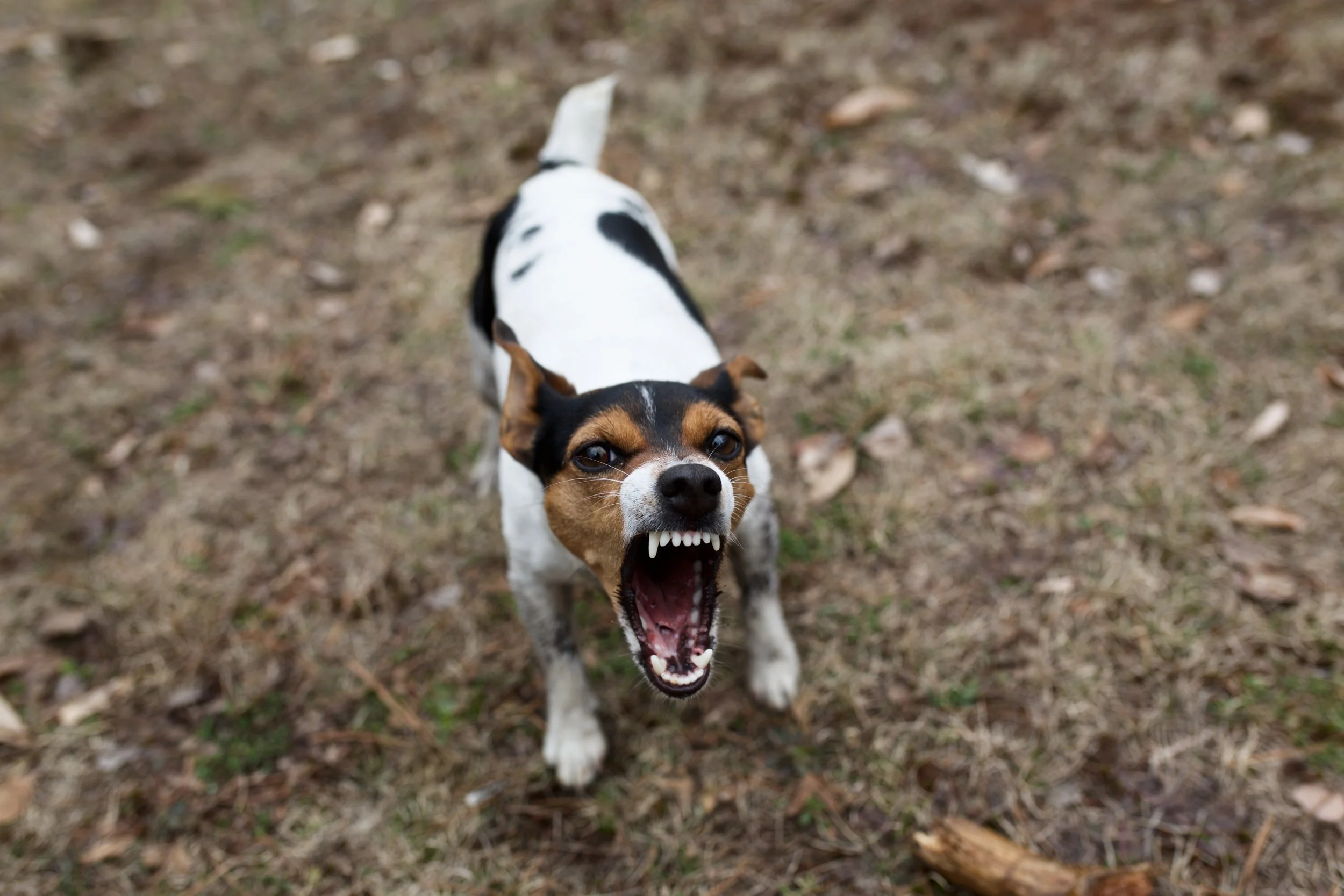 Vermont Overland Registration Day!