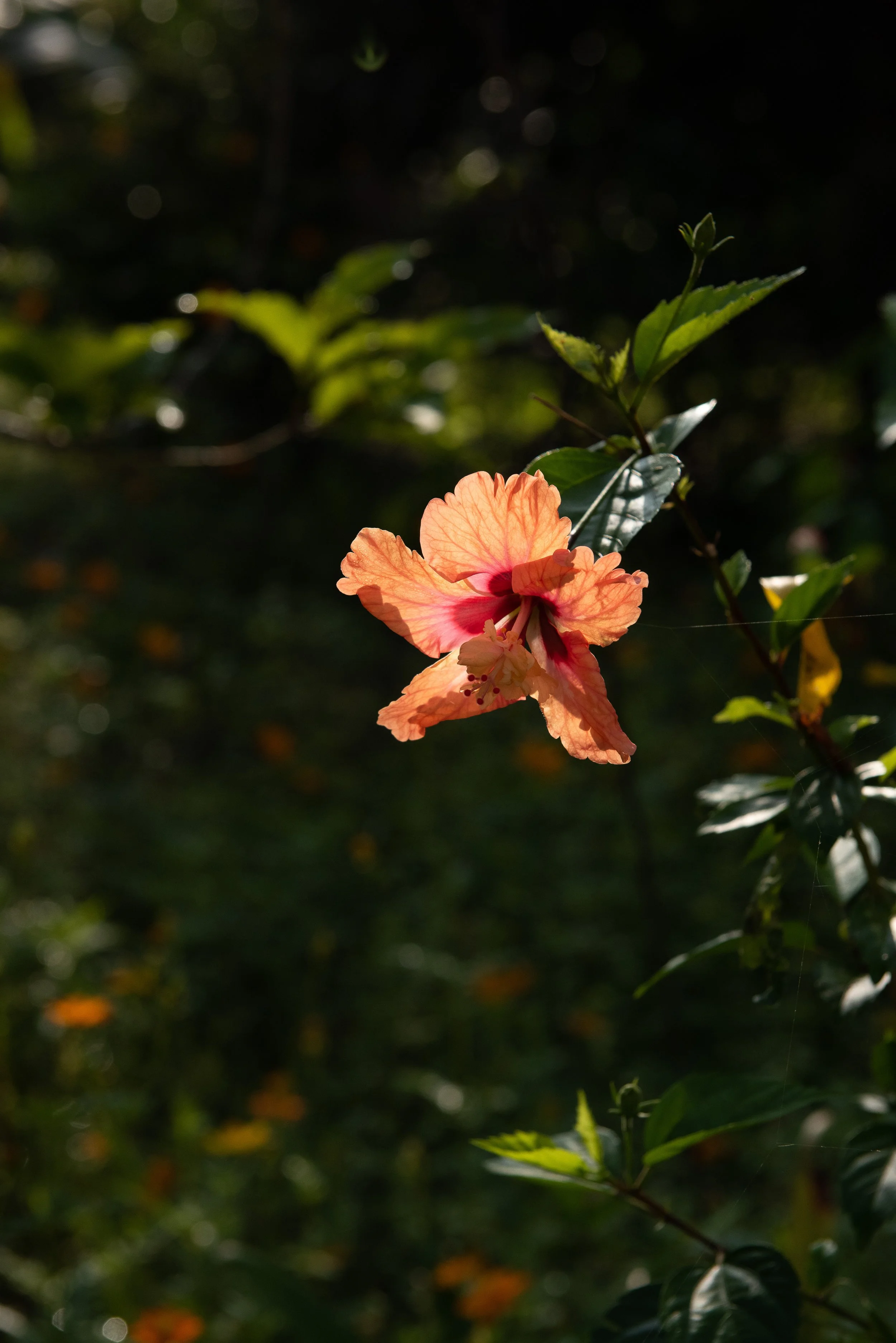 India-Photojournal-ABL-7.jpg