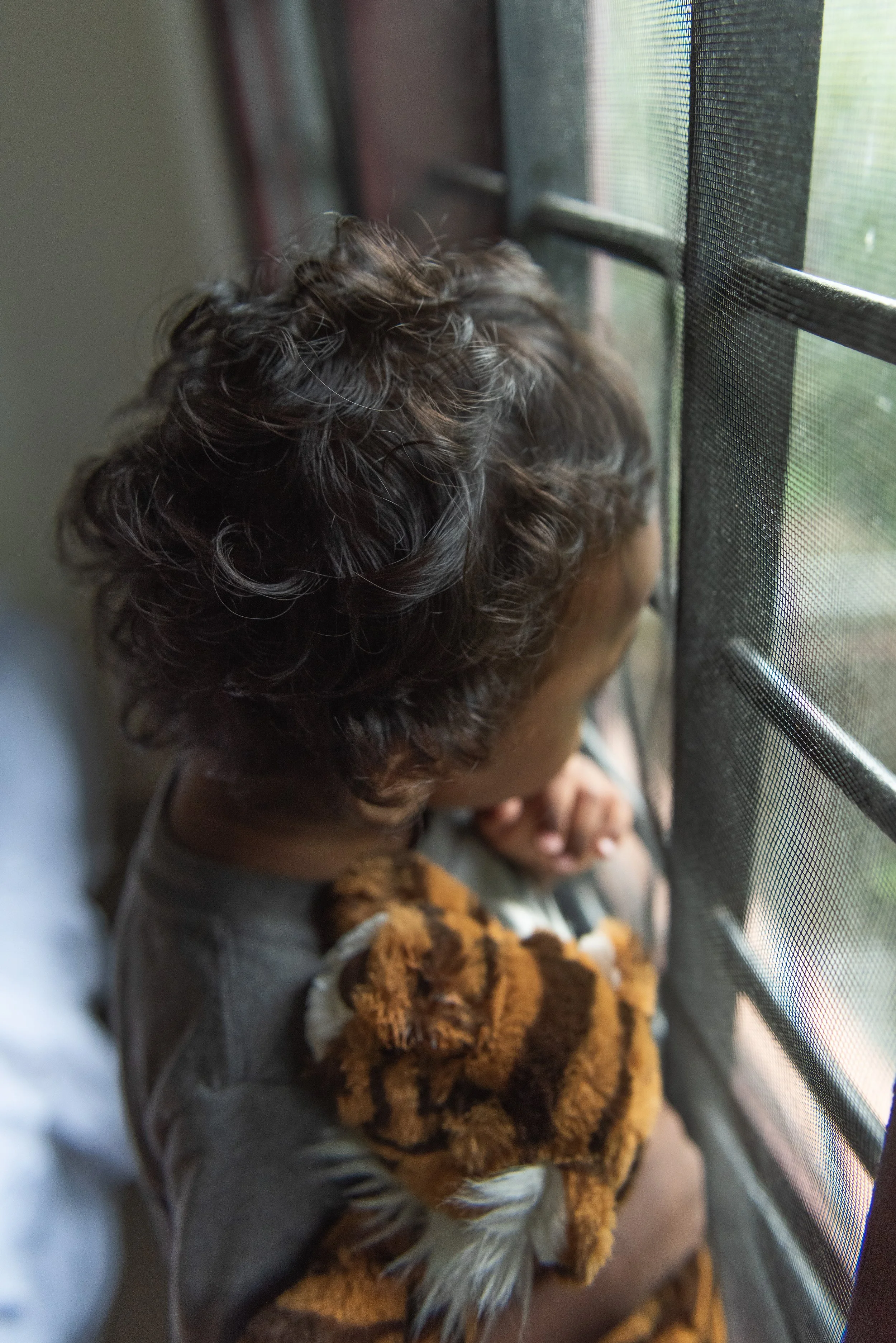 India-Photojournal-ABL-1.jpg