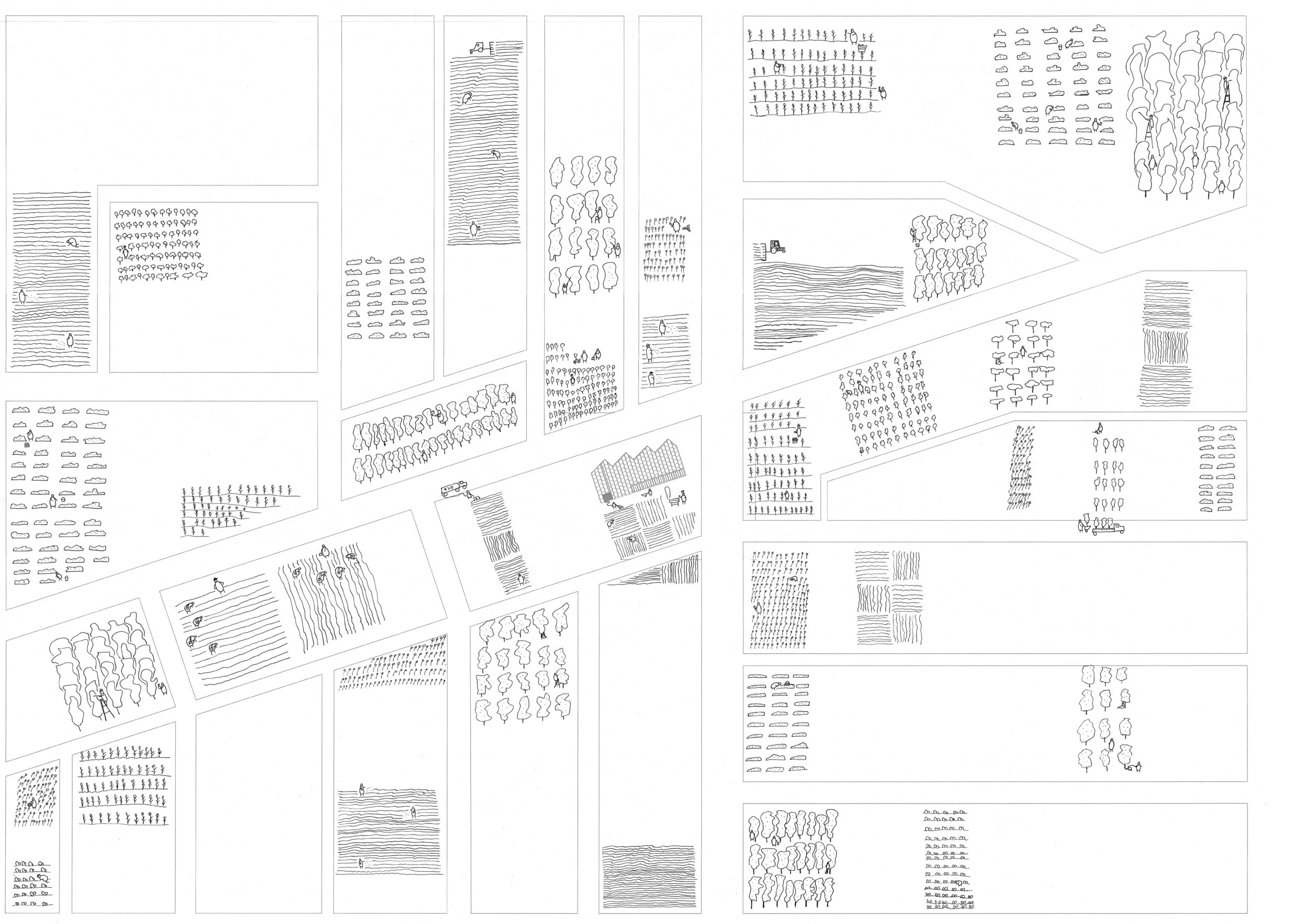 Land Turned Productive