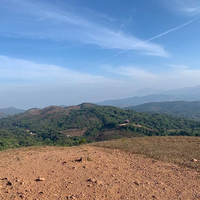 Recent photos of the beautiful countryside in Coorg India on my recent trip there to visit my daughter. Magical. #freshair #wellbeing #hiking #greatwaytoexercise #nature #naturalbeauty #stillness #freedom #fitnessmotivation #peaceful #creation #aweso