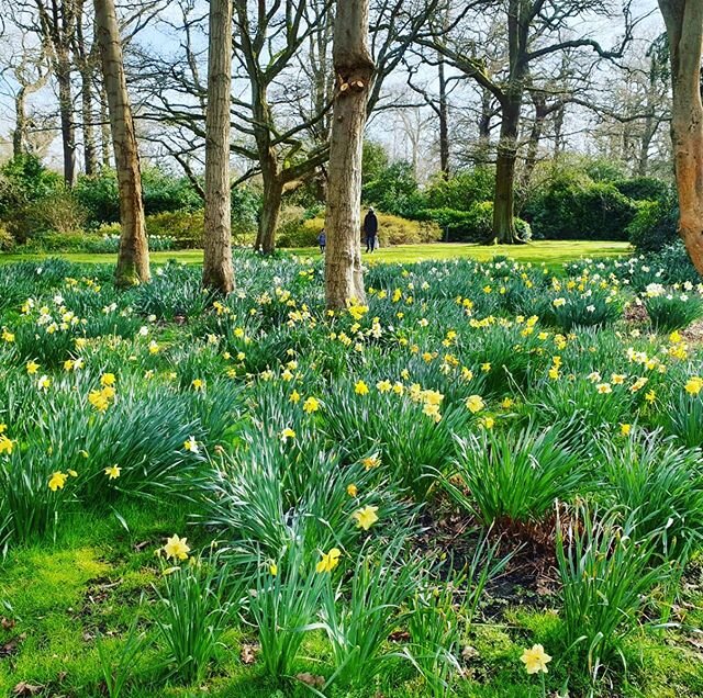 Spring Equinox mini retreat I was hosting was cancelled today. Very disappointing but a walk in the spring sunshine cheered me up!