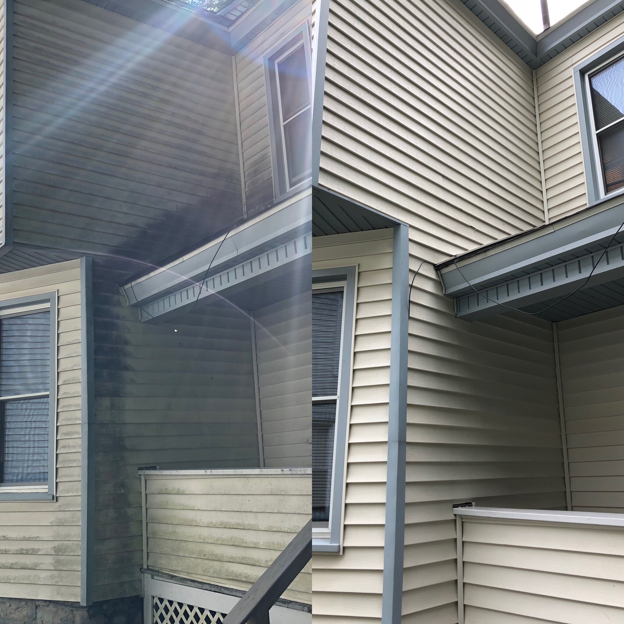 No brush or harsh pressure. Green stands no chance versus our professional cleaning process.