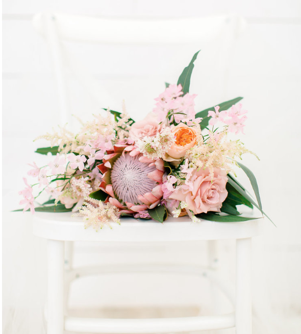 Featured: King Protea