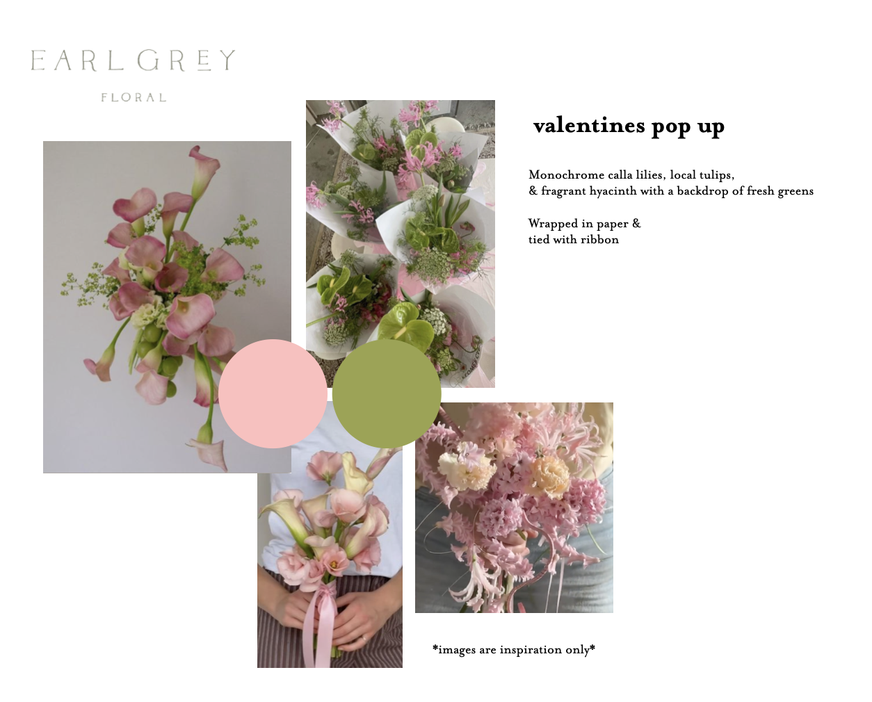 Screen Shot 2026-01-28 at 1.15.07 PM.png