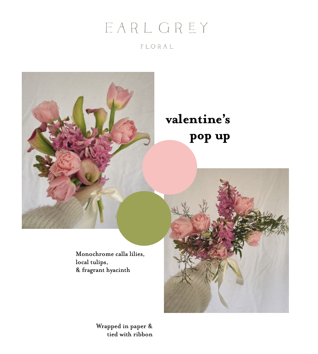 Screen Shot 2026-01-29 at 4.55.46 PM.png