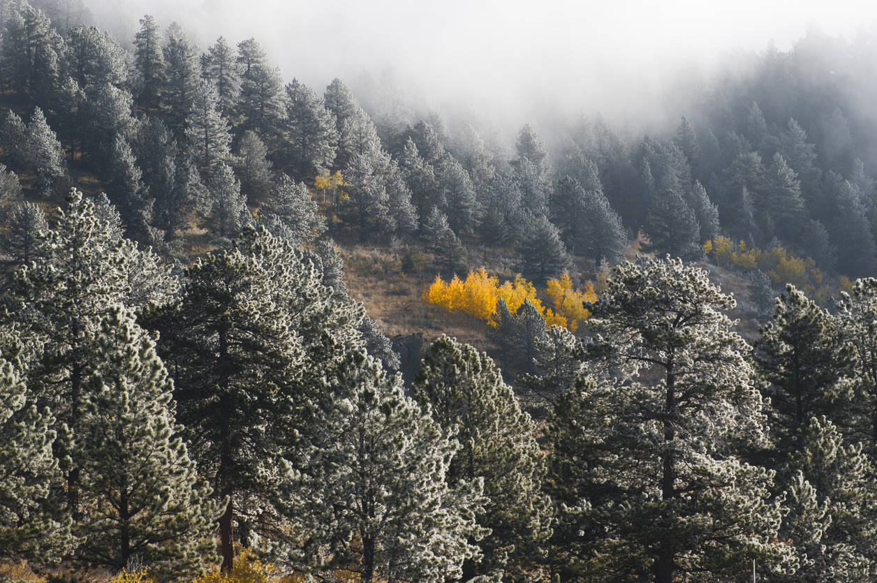 The Ultimate One-Day Colorado Road Trip