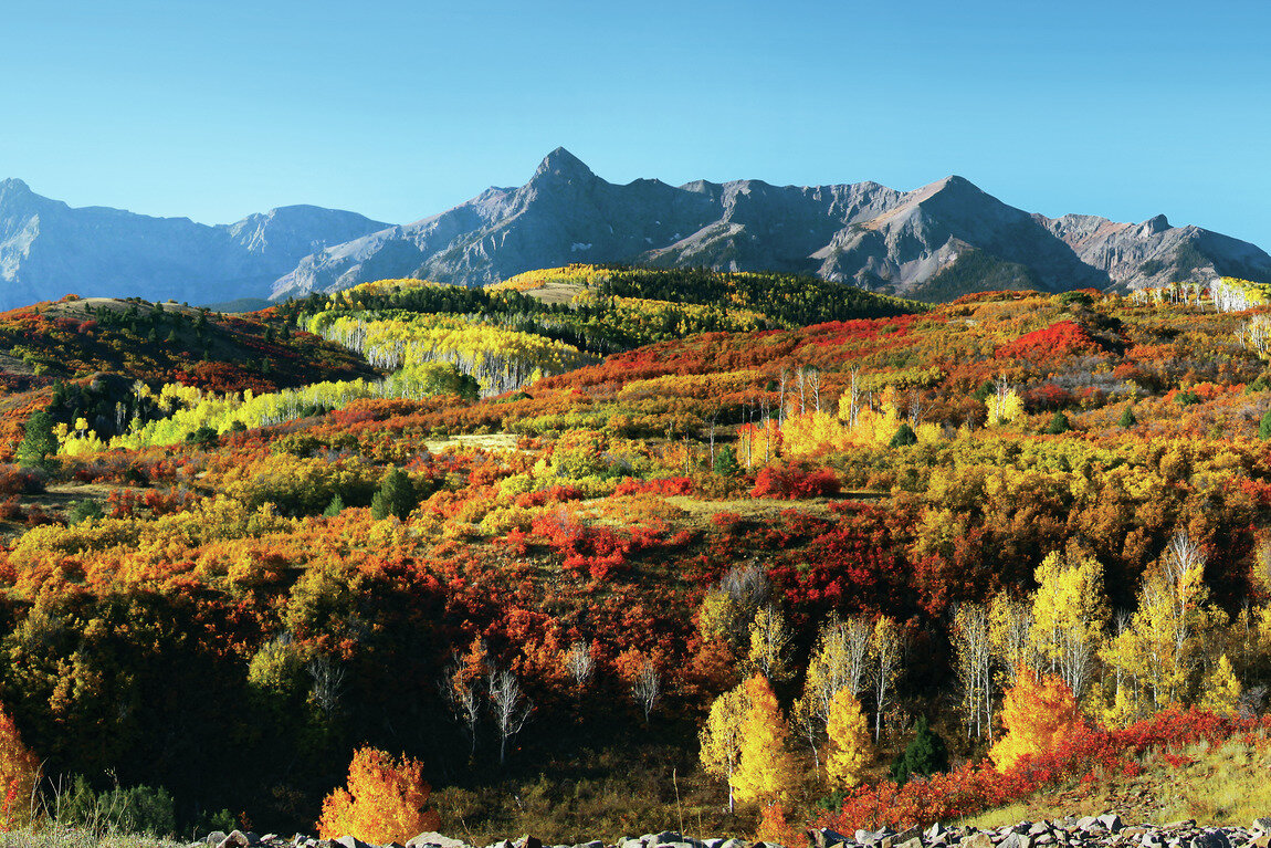 5 Reasons to Make the Move to Colorful Colorado
