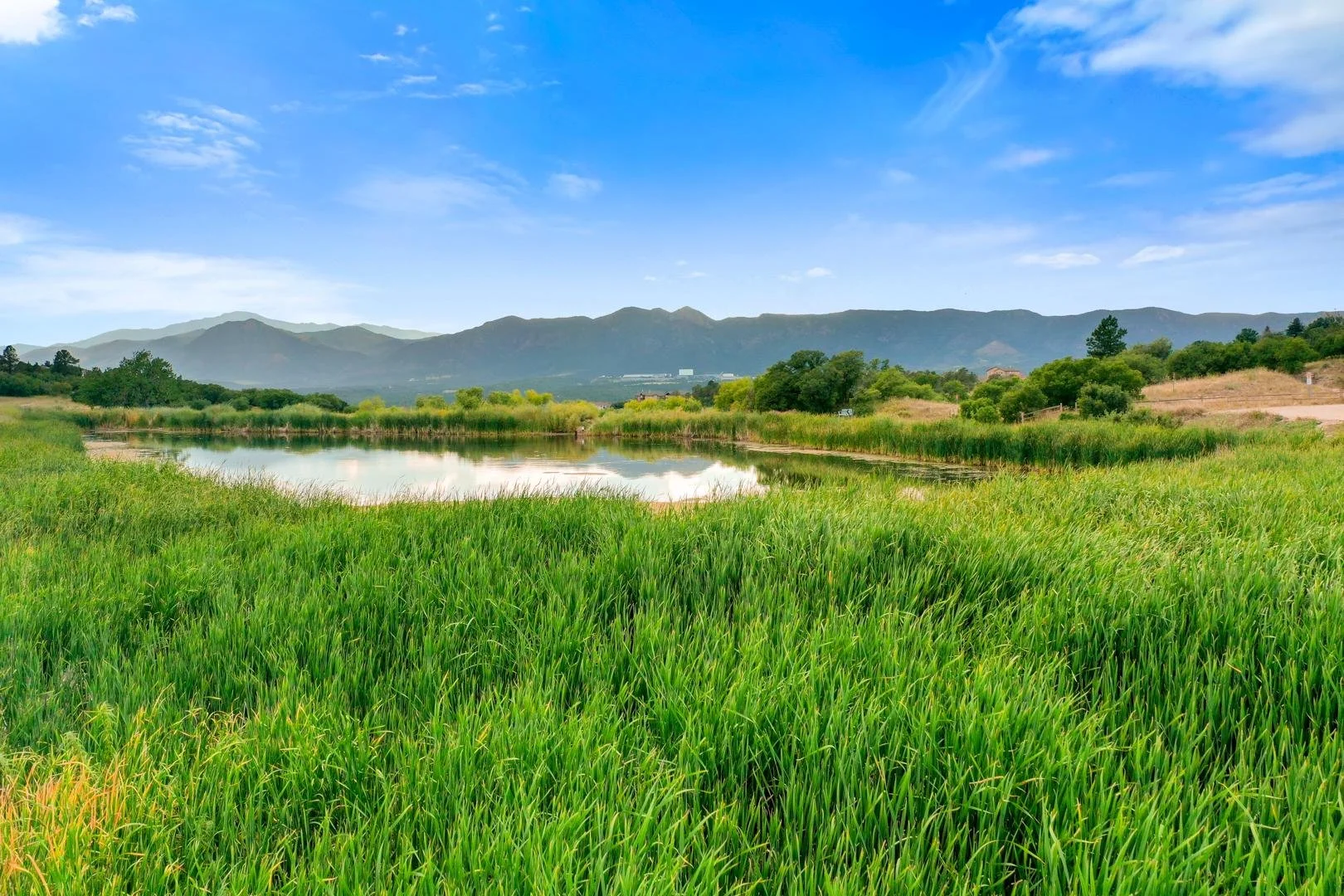 Northgate Smith Open Space.jpg