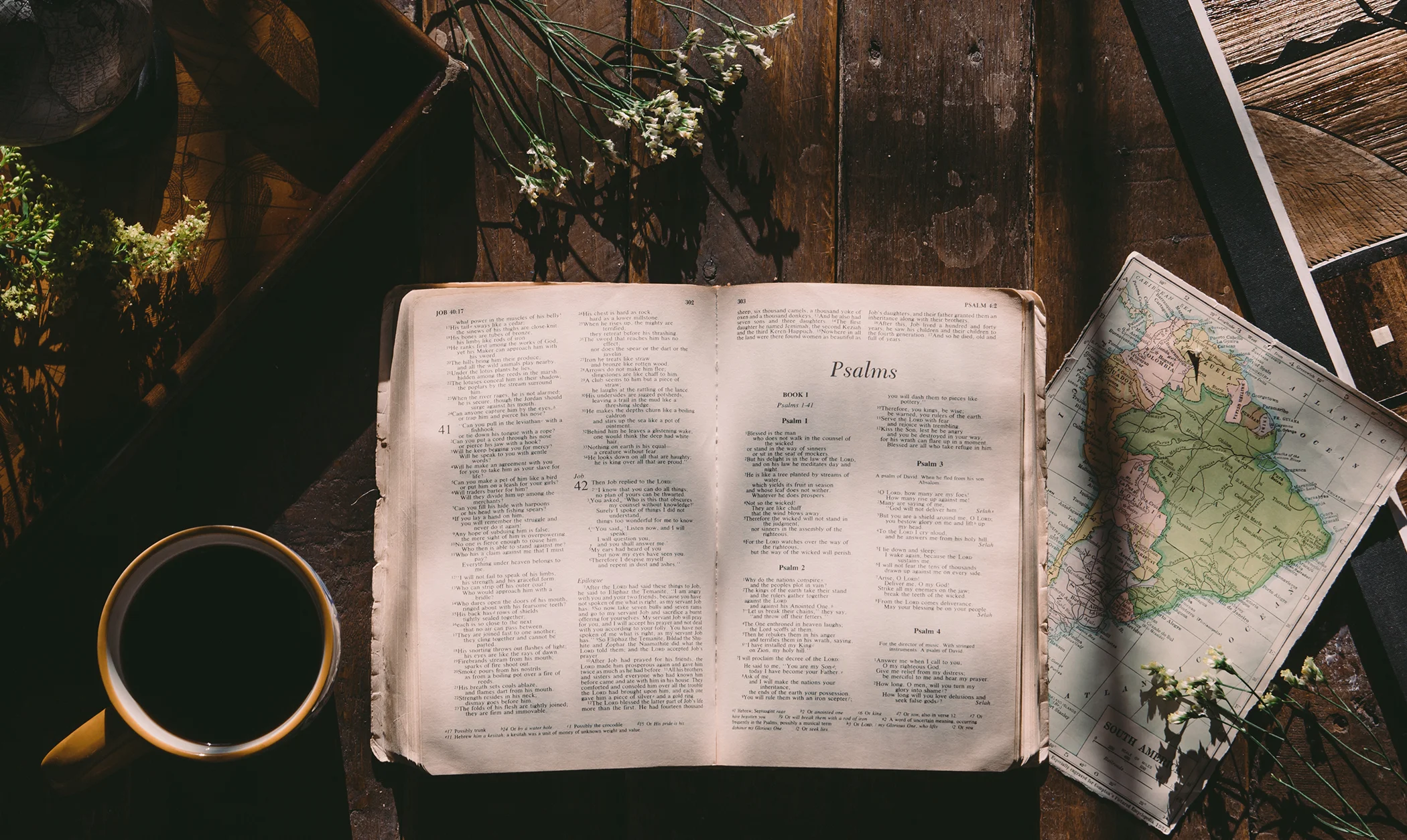 BACK DROP BIBLE.jpg