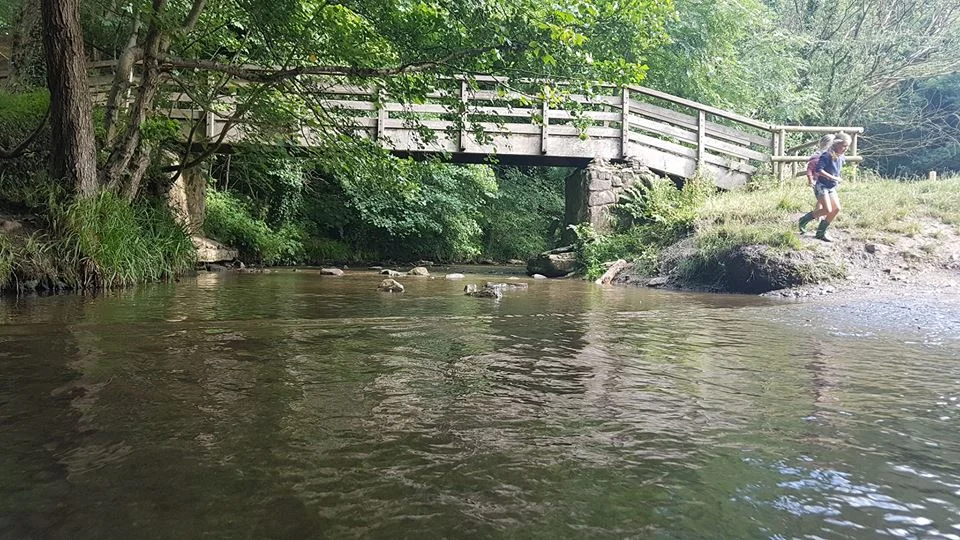 One of the bridges over the brook.