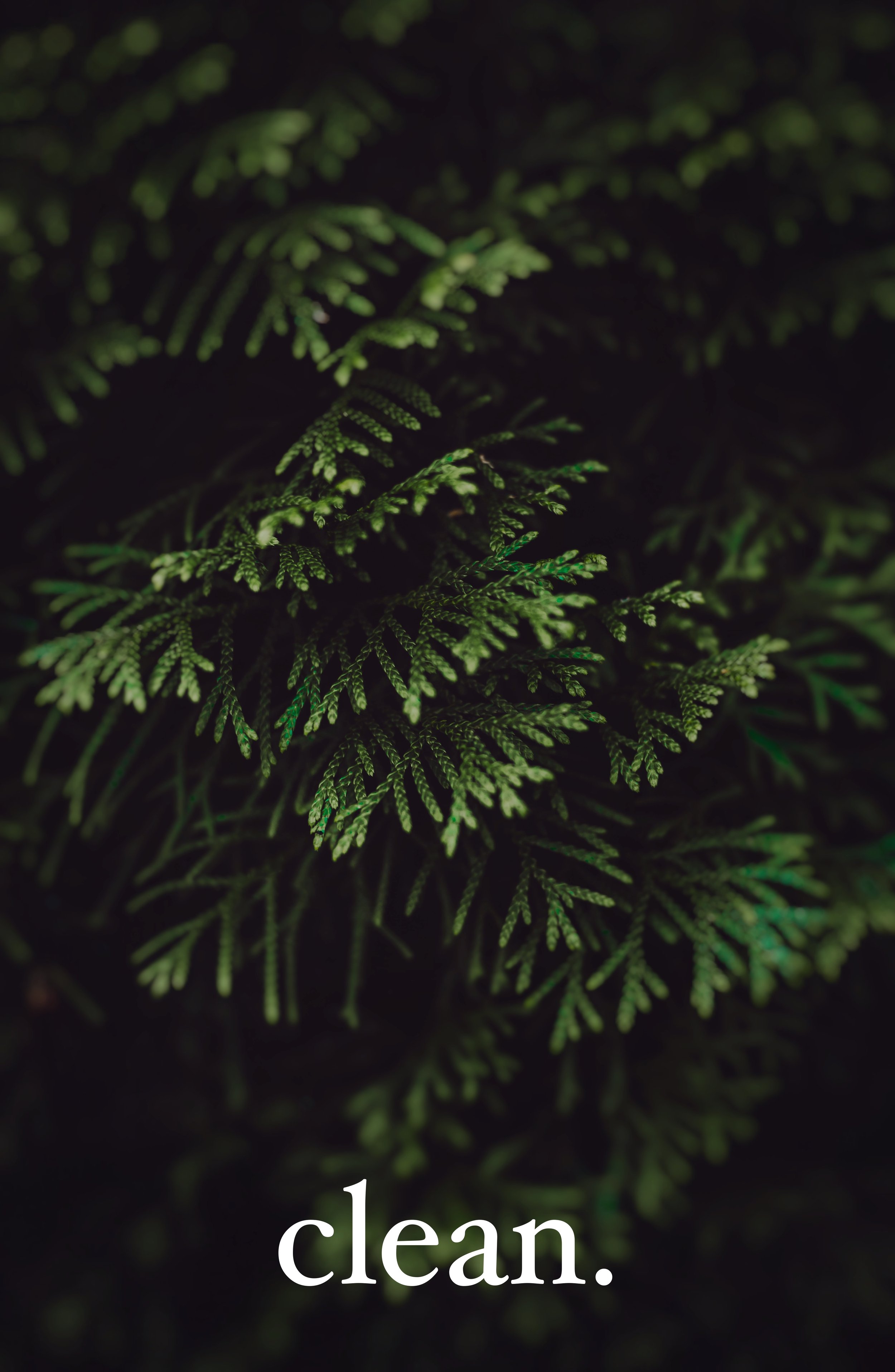 tony-litvyak-cNqbpmhksXk-unsplash.jpg