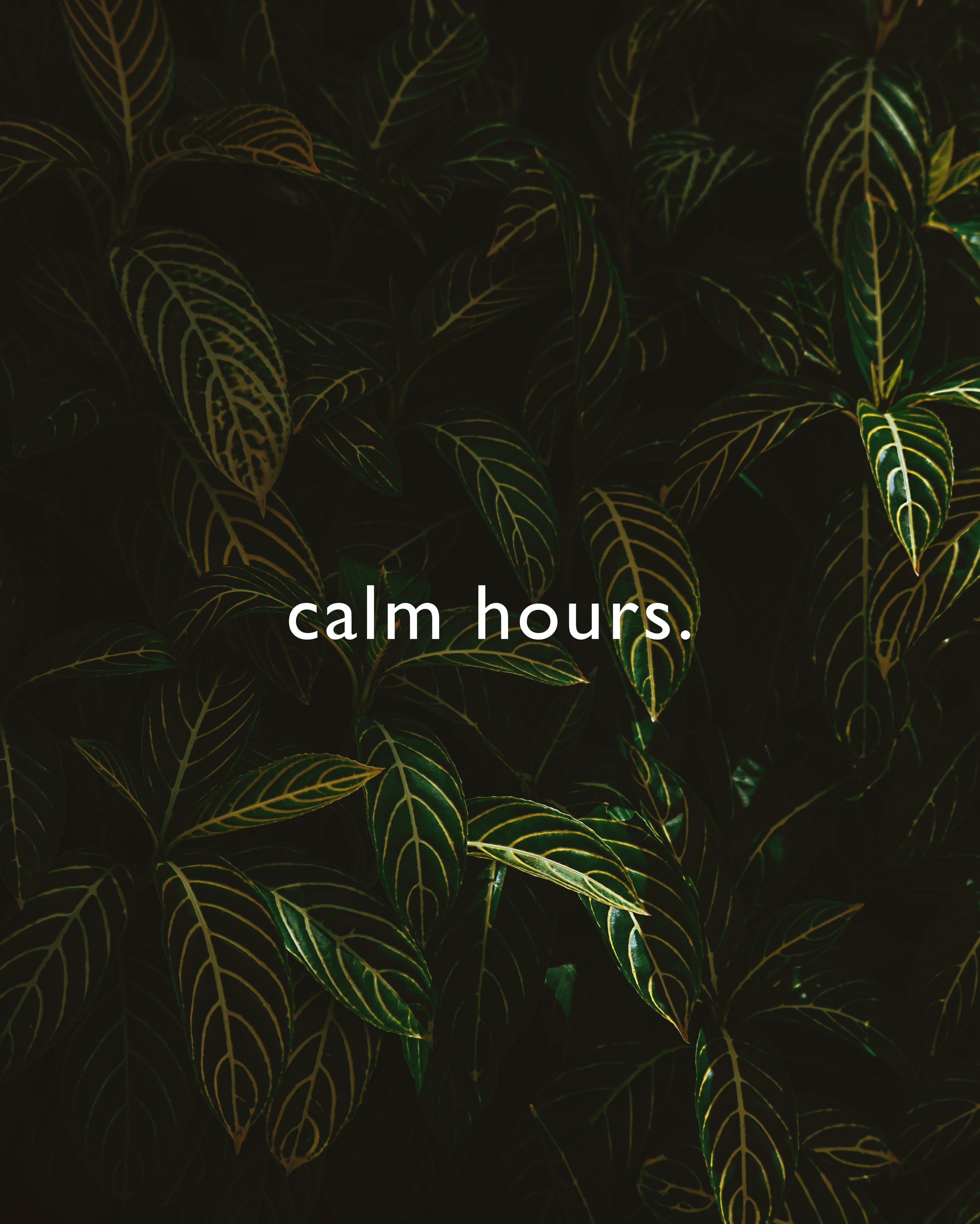 calmhours2.jpg