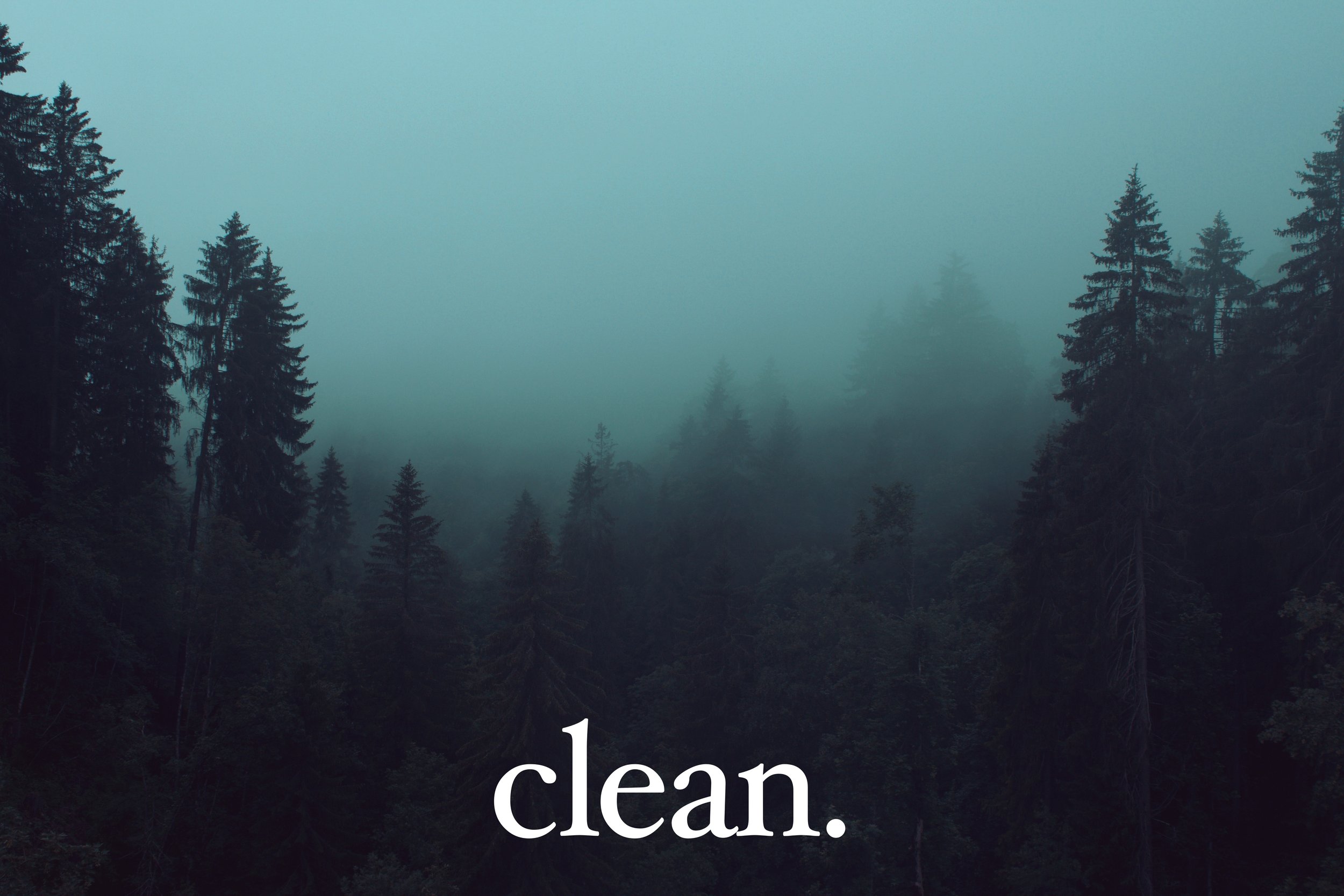 FOREST.jpg