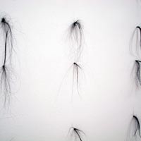 Hair Wall